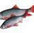 FOX Rage Ultra Natural Fillets BESTEN KUNSTKODER Angelshop