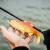 FOX Rage Ultra Realistic Replicant Golden Roach BESTEN KUNSTKODER Angelshop