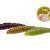 FishUp Forellenköder Yochu Garlic Trout Series BESTEN KUNSTKODER Angelshop