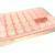 Wapsi UTC Vial Box 40 Pop-Top Vials BESTEN KUNSTKODER Angelshop