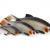 Westin Ricky the Roach Shadtail Bulk BESTEN KUNSTKODER Angelshop