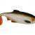 Westin Ricky the Roach SL/ST BESTEN KUNSTKODER Angelshop