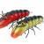 Microbait Wobbler River Crayfish BESTEN KUNSTKODER Angelshop