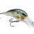 Rapala Wobbler Shad Dancer BESTEN KUNSTKODER Angelshop