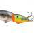 Dorado Splash Pop BESTEN KUNSTKODER Angelshop