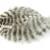 Wapsi Grizzly Matuka Soft Hackle Federn BESTEN KUNSTKODER Angelshop