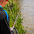 Preston Dura Carp 800 8m Pole BESTEN KUNSTKODER Angelshop