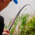 Preston Dura Carp 800 8m Pole BESTEN KUNSTKODER Angelshop