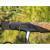 Mikado Bixlite Pro Light Feeder BESTEN KUNSTKODER Angelshop