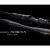Shimano Poison Adrena Spinning BESTEN KUNSTKODER Angelshop