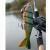 FOX Rage Strike Point Hitcher Rattle BESTEN KUNSTKODER Angelshop