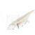Delphin Screw-in Additional Weight Delphin B! BESTEN KUNSTKODER Angelshop