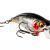 Westin BuzzBite SR Crankbait BESTEN KUNSTKODER Angelshop