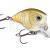 Rapala BX Brat BESTEN KUNSTKODER Angelshop