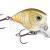 Rapala Wobbler BX Brat BESTEN KUNSTKODER Angelshop