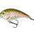 Mikado Fishunter Crazy Dots BESTEN KUNSTKODER Angelshop