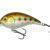 Mikado Fishunter Crazy Dots BESTEN KUNSTKODER Angelshop