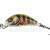 Salmo Hornet 2,5 cm BESTEN KUNSTKODER Angelshop