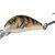 Salmo Hornet 2,5 cm BESTEN KUNSTKODER Angelshop