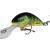 Salmo Hornet 4 cm BESTEN KUNSTKODER Angelshop