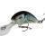 Salmo Hornet 6 cm BESTEN KUNSTKODER Angelshop