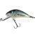 Salmo Hornet 6 cm BESTEN KUNSTKODER Angelshop