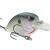 SPRO Little John Type R MD 50 BESTEN KUNSTKODER Angelshop