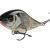 Salmo Slider 10 cm BESTEN KUNSTKODER Angelshop