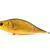 Dorado Tempter 18 Big Mama BESTEN KUNSTKODER Angelshop