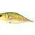Dorado Tempter 18 Big Mama BESTEN KUNSTKODER Angelshop