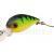 SPRO Wobbler Trout Master Wobbla Forellenwobbler BESTEN KUNSTKODER Angelshop