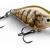 Rapala X-Light Crank Shallow Runner BESTEN KUNSTKODER Angelshop